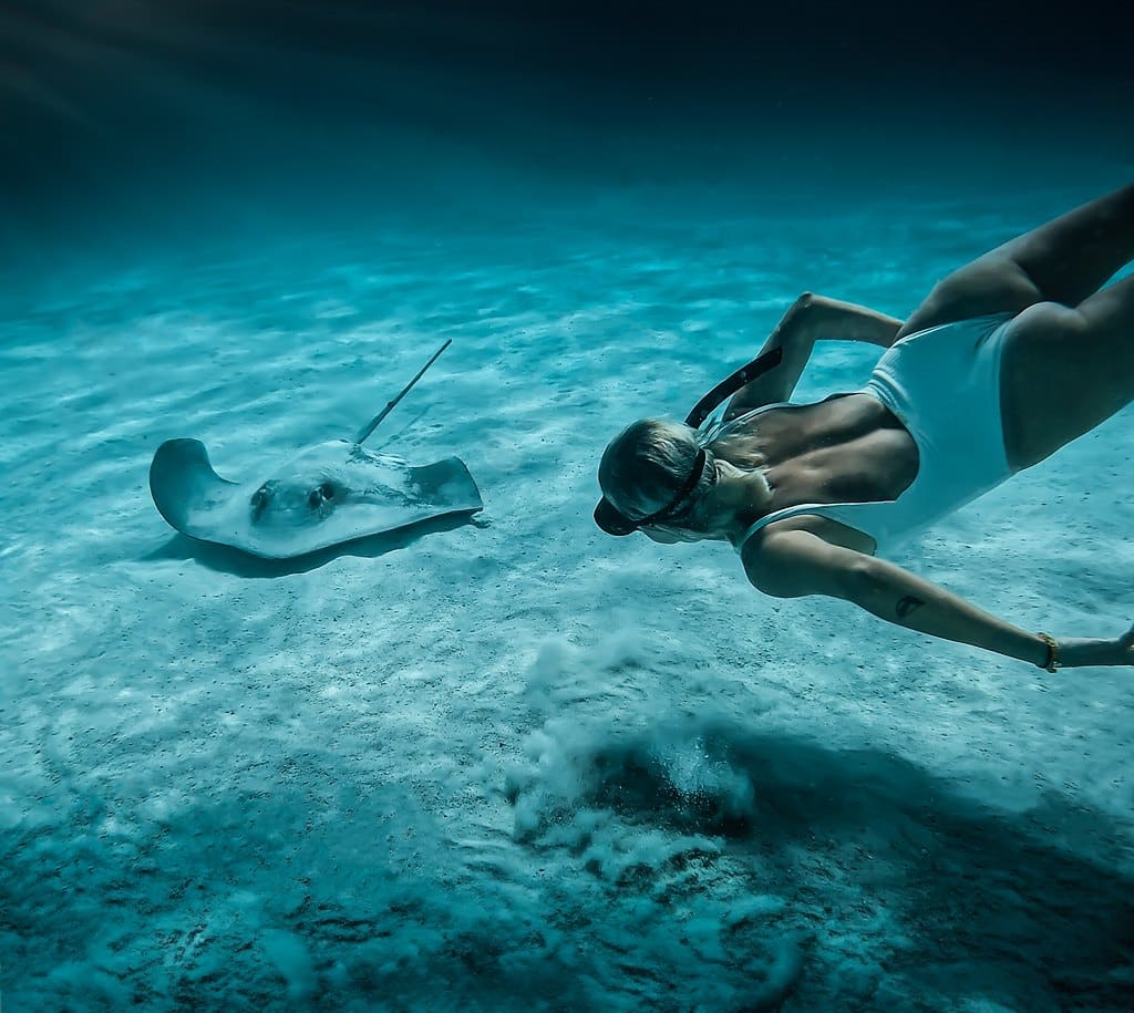 Tai'a Puhipuhi spear fishing experience in Moorea - image 1