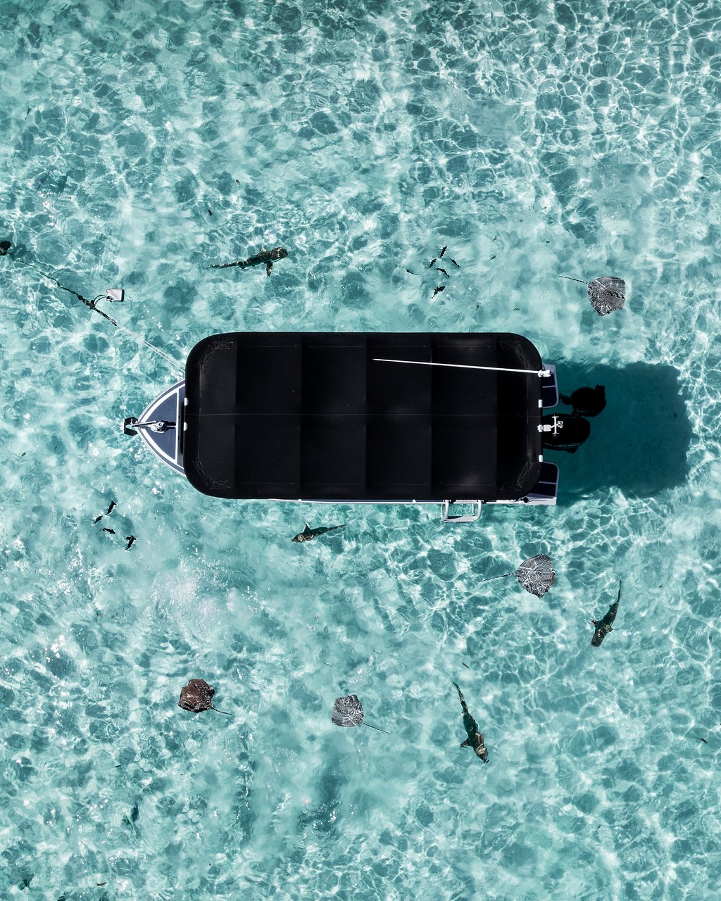 Tai'a Tua deep sea fishing boat experience in Moorea - image 1